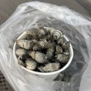 마당바위로 | 🏔️ 도봉산 초보 등산 실패기 ｜마당바위 가려다 자운봉 코스 탄 후기