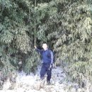 32번국도 이미지