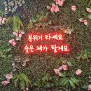 파리바게트(동국대점)