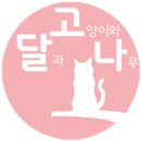 달과고양이 이미지