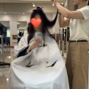 예원헤어 - 노원구 | 인스타 분위기여신 머리, 준오헤어대치점 예원 디자이너 레이어드컷 만족 후기