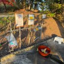 은성전자 | [대부도 애견동반 캠핑장]: 대부도 아라뜰 캠핑장 후기/안산 애견동반캠핑장/아라뜰 캠핑장 명당 사이트...