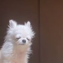 혜연농장 | 가을의 색 with 더에프유 THEFEU