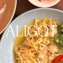 알리고(ALIGOT)