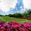 아이지엠 주식회사 이미지