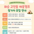 화순고인돌오토캠핑장 이미지