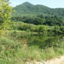 신장소류지 이미지