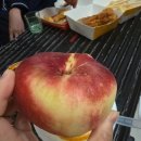 상지마트 | 홍콩납작복숭아, 상기콘지, 초이홍 아파트, 카우키, IFC몰, 바샤커피, 홍콩마트, 홍콩대관람차, 홍콩bbq)