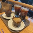 프리미엄 아울렛 나들이~! 더 코스메틱 컴퍼니 스토어 2편 &lt;에스티로더 뉴트리셔스 투인원 클렌징폼...