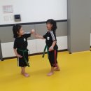 행복한 삼성태권도장 이미지