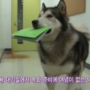떡대 - 광진구 군자로 31-1 | 떡대