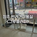 원봉로 | 🐾🐶용암동 반려동물 미용실&lt;그루플러피&gt; | 15년 경력의 금손 사장님 | 포메라니안 클리핑 만족했던 후기