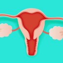 경희약손한의원 이미지