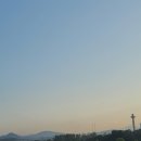 아침거미 이미지