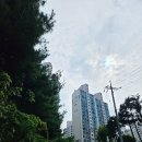 고봉민김밥(의왕내손점) | [의왕/오전동] 우주최강김밥 오전동 맛집 김밥 맛집 소개합니다.