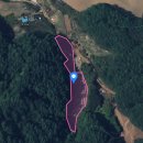 홍천군서석면검산보건진료소 | [홍천토지경매] 홍천군 서석면 검산리 나는자연이이다 토지 경매 # 2023타경3137 #