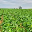 신월리경로당 이미지