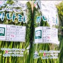 창녕군농업기술센터 | 창녕 화왕산 미나리