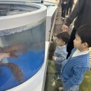 팔공수산 | [대구 북구]석화 가리비 꽃게 수산시장 칠곡 매천동 &lt;매천수산시장 팔공에스에프&gt; 내돈내산 후기리뷰