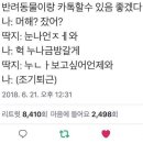 스쿨푸드일산딜리버리