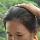 황금농장 이미지