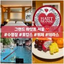 그랜드 하얏트 서울 호캉스 남산뷰 후기 / 수영장 강추 / 주말 디너 뷔페 더 테라스 뷰 맛집