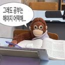 인스파이어 아레나 이미지