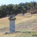 이색선생묘일원 이미지