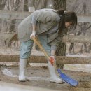 혜인목장 이미지