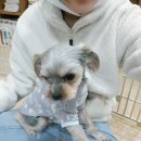 올킹 티스토리