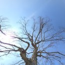 포올연구소 이미지