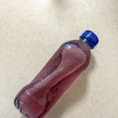 베리하우스 | 톡톡하우스 유기농 하스카프베리 분말 후기｜엄마선물 건강루틴 추천