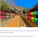 5월산행지추천~ 순천 조계산 이미지