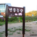 연풍농장 이미지