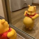 니옷내옷 이미지