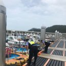 완도7호 이미지