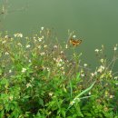 비치플레이스 이미지