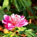 칠곡 해은고택 이미지