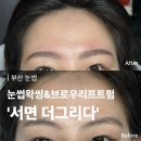 [공지] [부산 눈썹] 눈썹왁싱 및 브로우리프트펌 맛집 ‘서면 더 그리다’ 방문후기