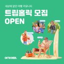 홀릭홀릭 이미지