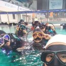 인천광역시 문학박태환수영장 다이빙풀 이미지