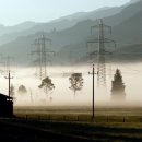 바이오 포스트 이미지