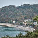 항도