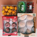 부자축산 | 경기도 건강과일 꾸러미 선정 및 배송 후기 (성남시) 🍊🍋🍇🫐🍓🍑🍒