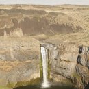 밀밭사이 이미지