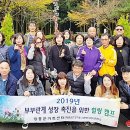 힐링캠프 이미지