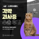 민락동물병원 | 의정부동물병원, 4살 스코티쉬폴드 각막 괴사증 수술 후기