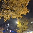 주영카써비스 | 잔 비우다 보니 11월이 훌쩍 지나가 버렸네