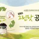 그린팟 이미지