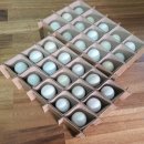 서동골농장 이미지